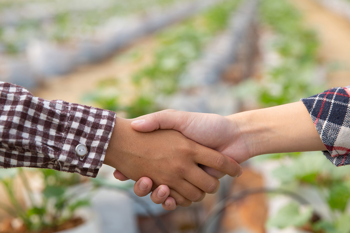 Agroinversión, inversiones agrícolas