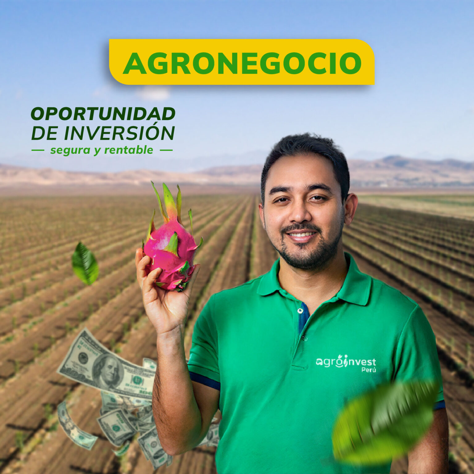 AgroInvest Perú | AgroInvest Perú