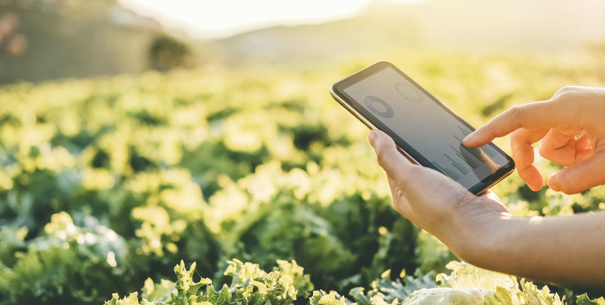 La revolución de la tecnología en la agroexportación