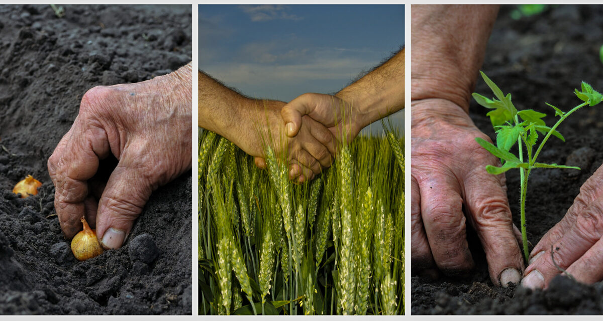 El Valor de la Biodiversidad en la Rentabilidad Agrícola